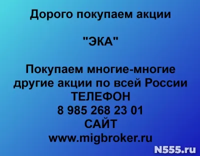 Покупаем акции «ЭКА»
